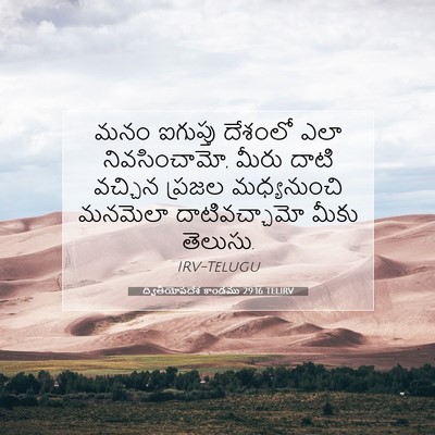 Picture 07 - ద్వితీయోపదేశ కాండము 29:16 TELIRV - మనం ఐగుప్తు - Bible Verse Picture