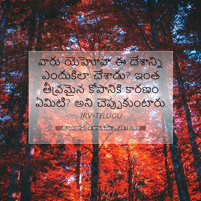 Picture 07 - ద్వితీయోపదేశ కాండము 29:24 TELIRV - వారు యెహోవా ఈ - Bible Verse Picture