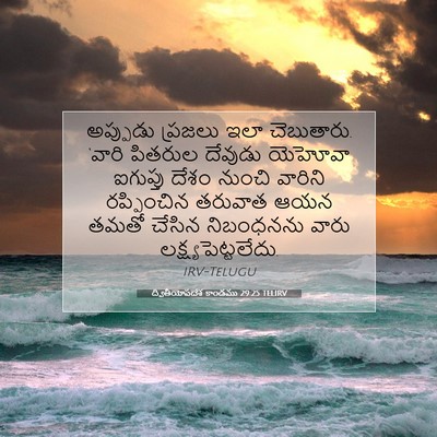 Picture 07 - ద్వితీయోపదేశ కాండము 29:25 TELIRV - అప్పుడు ప్రజలు - Bible Verse Picture