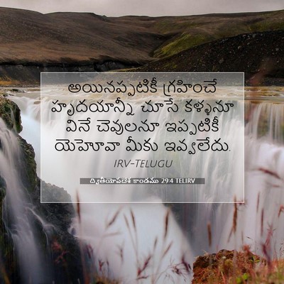 Picture 07 - ద్వితీయోపదేశ కాండము 29:4 TELIRV - అయినప్పటికీ - Bible Verse Picture