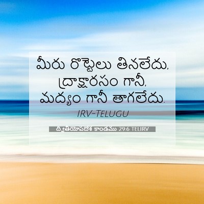 Picture 07 - ద్వితీయోపదేశ కాండము 29:6 TELIRV - మీరు రొట్టెలు - Bible Verse Picture