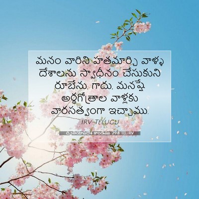 Picture 07 - ద్వితీయోపదేశ కాండము 29:8 TELIRV - మనం వారిని - Bible Verse Picture