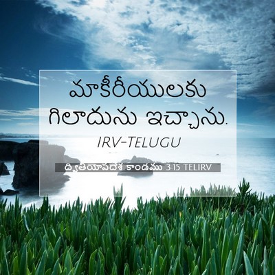 Picture 07 - ద్వితీయోపదేశ కాండము 3:15 TELIRV - మాకీరీయులకు - Bible Verse Picture