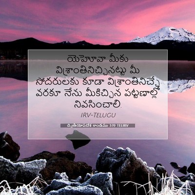Picture 07 - ద్వితీయోపదేశ కాండము 3:19 TELIRV - యెహోవా మీకు - Bible Verse Picture