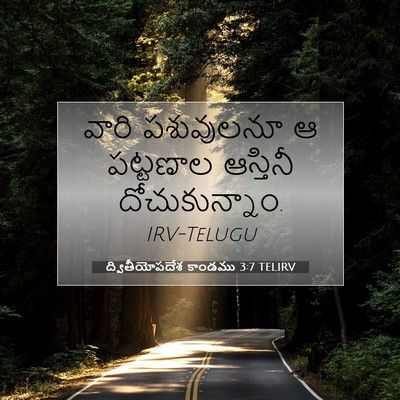 Picture 07 - ద్వితీయోపదేశ కాండము 3:7 TELIRV - వారి పశువులనూ ఆ - Bible Verse Picture