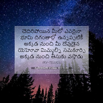 Picture 07 - ద్వితీయోపదేశ కాండము 30:4 TELIRV - చెదిరిపోయిన మీలో - Bible Verse Picture