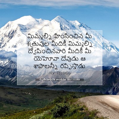 Picture 07 - ద్వితీయోపదేశ కాండము 30:7 TELIRV - మిమ్మల్ని - Bible Verse Picture