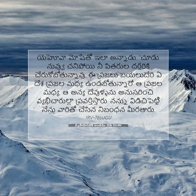 Picture 07 - ద్వితీయోపదేశ కాండము 31:16 TELIRV - యెహోవా మోషేతో ఇలా - Bible Verse Picture