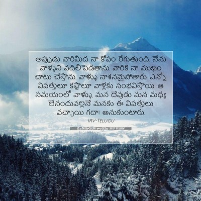 Picture 07 - ద్వితీయోపదేశ కాండము 31:17 TELIRV - అప్పుడు వారిమీద - Bible Verse Picture