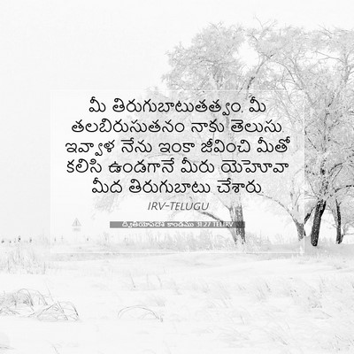 Picture 07 - ద్వితీయోపదేశ కాండము 31:27 TELIRV - మీ - Bible Verse Picture