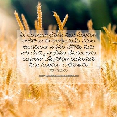 Picture 07 - ద్వితీయోపదేశ కాండము 31:3 TELIRV - మీ యెహోవా దేవుడు - Bible Verse Picture