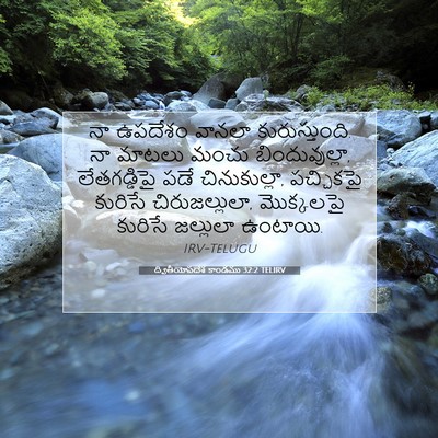 Picture 07 - ద్వితీయోపదేశ కాండము 32:2 TELIRV - నా ఉపదేశం వానలా - Bible Verse Picture