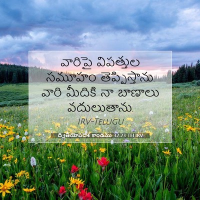Picture 07 - ద్వితీయోపదేశ కాండము 32:23 TELIRV - వారిపై విపత్తుల - Bible Verse Picture