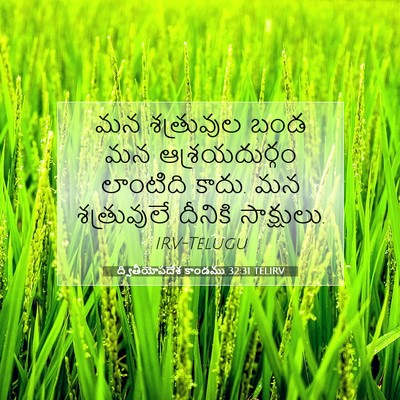 Picture 07 - ద్వితీయోపదేశ కాండము 32:31 TELIRV - మన శత్రువుల బండ మన - Bible Verse Picture
