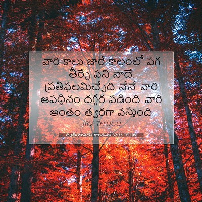 Picture 07 - ద్వితీయోపదేశ కాండము 32:35 TELIRV - వారి కాలు జారే - Bible Verse Picture