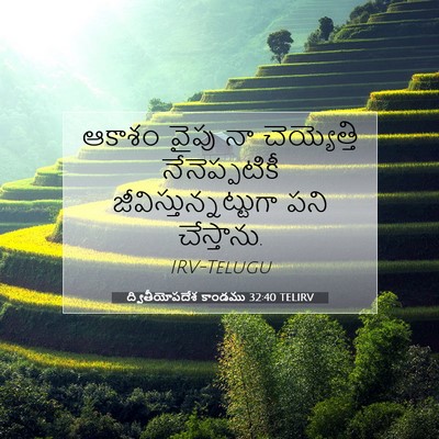 Picture 07 - ద్వితీయోపదేశ కాండము 32:40 TELIRV - ఆకాశం వైపు నా - Bible Verse Picture