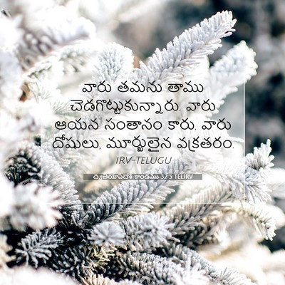 Picture 07 - ద్వితీయోపదేశ కాండము 32:5 TELIRV - వారు తమను తాము - Bible Verse Picture