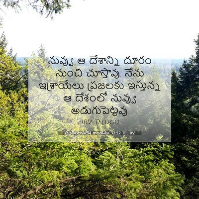 Picture 07 - ద్వితీయోపదేశ కాండము 32:52 TELIRV - నువ్వు ఆ దేశాన్ని - Bible Verse Picture