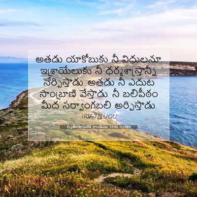 Picture 07 - ద్వితీయోపదేశ కాండము 33:10 TELIRV - అతడు యాకోబుకు నీ - Bible Verse Picture