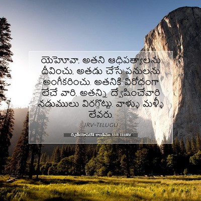 Picture 07 - ద్వితీయోపదేశ కాండము 33:11 TELIRV - యెహోవా, అతని - Bible Verse Picture
