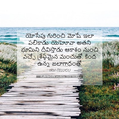 Picture 07 - ద్వితీయోపదేశ కాండము 33:13 TELIRV - యోసేపు గురించి - Bible Verse Picture