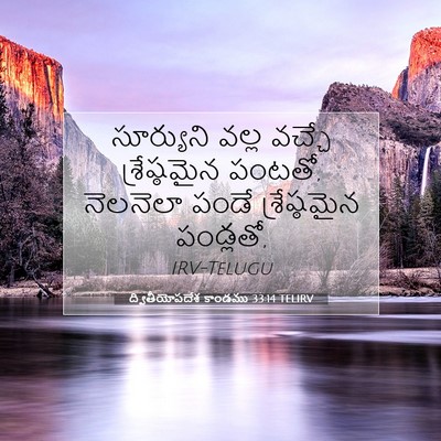 Picture 07 - ద్వితీయోపదేశ కాండము 33:14 TELIRV - సూర్యుని వల్ల - Bible Verse Picture