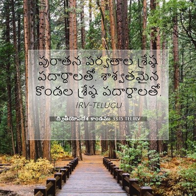 Picture 07 - ద్వితీయోపదేశ కాండము 33:15 TELIRV - పురాతన పర్వతాల - Bible Verse Picture