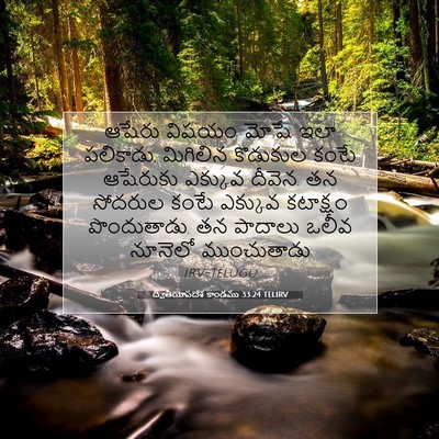 Picture 07 - ద్వితీయోపదేశ కాండము 33:24 TELIRV - ఆషేరు విషయం మోషే - Bible Verse Picture