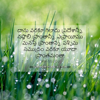 Picture 07 - ద్వితీయోపదేశ కాండము 34:2 TELIRV - దాను వరకూ గిలాదు - Bible Verse Picture