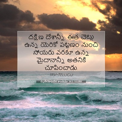 Picture 07 - ద్వితీయోపదేశ కాండము 34:3 TELIRV - దక్షిణ దేశాన్నీ, - Bible Verse Picture