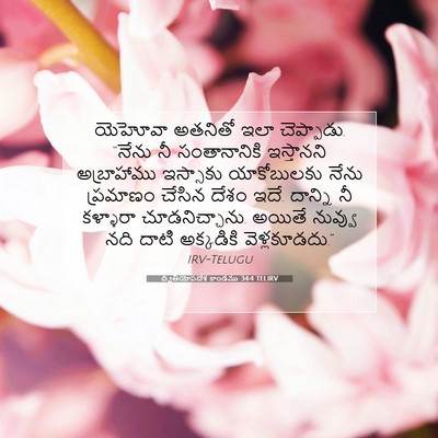 Picture 07 - ద్వితీయోపదేశ కాండము 34:4 TELIRV - యెహోవా అతనితో ఇలా - Bible Verse Picture