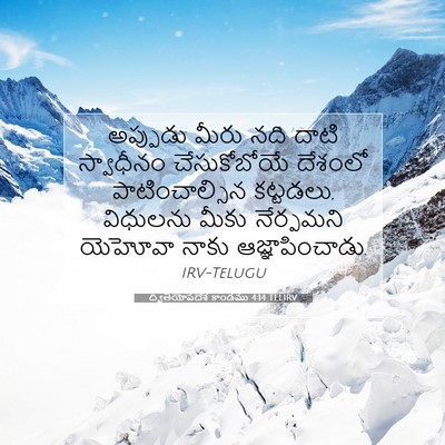 Picture 07 - ద్వితీయోపదేశ కాండము 4:14 TELIRV - అప్పుడు మీరు నది - Bible Verse Picture