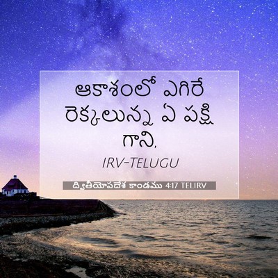 Picture 07 - ద్వితీయోపదేశ కాండము 4:17 TELIRV - ఆకాశంలో ఎగిరే - Bible Verse Picture