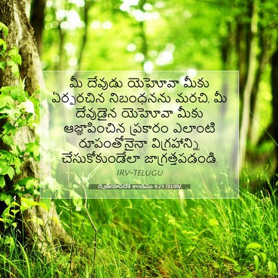 Picture 07 - ద్వితీయోపదేశ కాండము 4:23 TELIRV - మీ దేవుడు యెహోవా - Bible Verse Picture