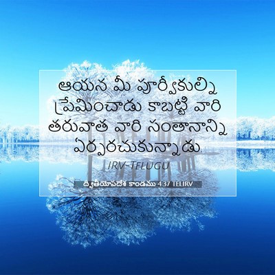 Picture 07 - ద్వితీయోపదేశ కాండము 4:37 TELIRV - ఆయన మీ - Bible Verse Picture