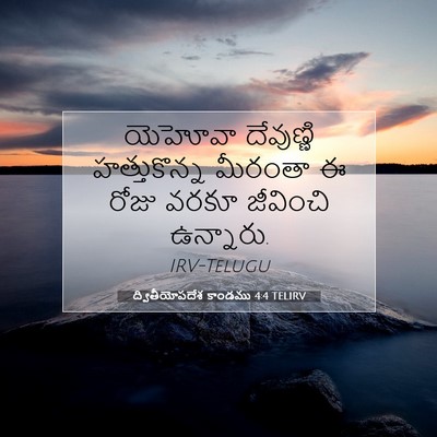 Picture 07 - ద్వితీయోపదేశ కాండము 4:4 TELIRV - యెహోవా దేవుణ్ణి - Bible Verse Picture