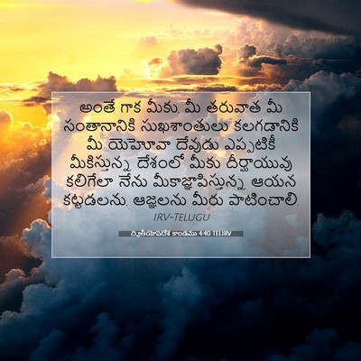 Picture 07 - ద్వితీయోపదేశ కాండము 4:40 TELIRV - అంతే గాక మీకు, మీ - Bible Verse Picture