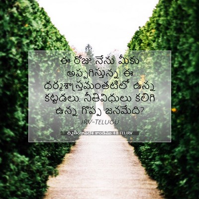 Picture 07 - ద్వితీయోపదేశ కాండము 4:8 TELIRV - ఈ రోజు నేను మీకు - Bible Verse Picture