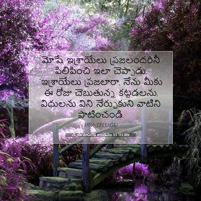 Picture 07 - ద్వితీయోపదేశ కాండము 5:1 TELIRV - మోషే ఇశ్రాయేలు - Bible Verse Picture
