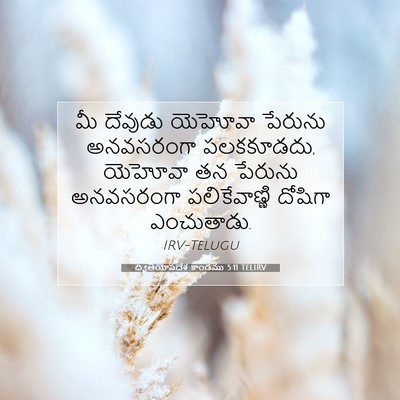 Picture 07 - ద్వితీయోపదేశ కాండము 5:11 TELIRV - మీ దేవుడు యెహోవా - Bible Verse Picture