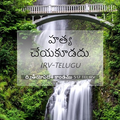 Picture 07 - ద్వితీయోపదేశ కాండము 5:17 TELIRV - హత్య - Bible Verse Picture