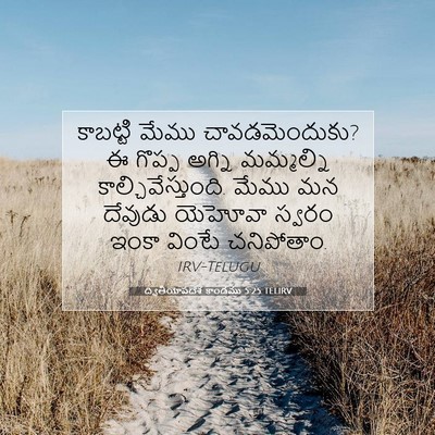 Picture 07 - ద్వితీయోపదేశ కాండము 5:25 TELIRV - కాబట్టి మేము - Bible Verse Picture