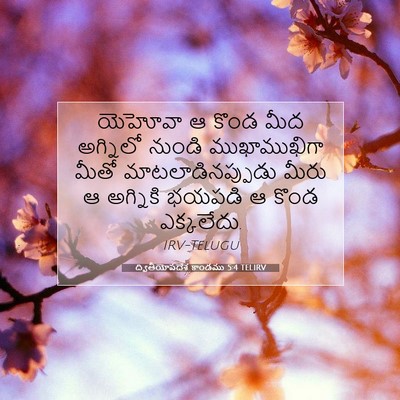 Picture 07 - ద్వితీయోపదేశ కాండము 5:4 TELIRV - యెహోవా ఆ కొండ మీద - Bible Verse Picture