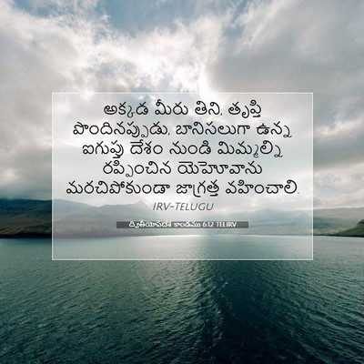 Picture 07 - ద్వితీయోపదేశ కాండము 6:12 TELIRV - అక్కడ మీరు తిని, - Bible Verse Picture