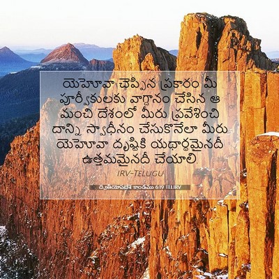 Picture 07 - ద్వితీయోపదేశ కాండము 6:19 TELIRV - యెహోవా చెప్పిన - Bible Verse Picture
