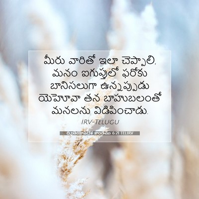 Picture 07 - ద్వితీయోపదేశ కాండము 6:21 TELIRV - మీరు వారితో ఇలా - Bible Verse Picture