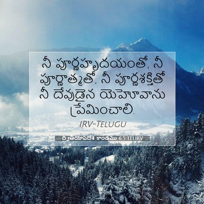 Picture 07 - ద్వితీయోపదేశ కాండము 6:5 TELIRV - నీ పూర్ణహృదయంతో, - Bible Verse Picture
