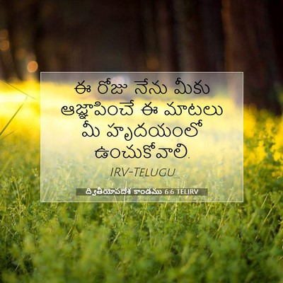 Picture 07 - ద్వితీయోపదేశ కాండము 6:6 TELIRV - ఈ రోజు నేను మీకు - Bible Verse Picture