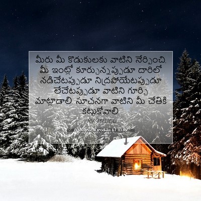 Picture 07 - ద్వితీయోపదేశ కాండము 6:7 TELIRV - మీరు మీ కొడుకులకు - Bible Verse Picture