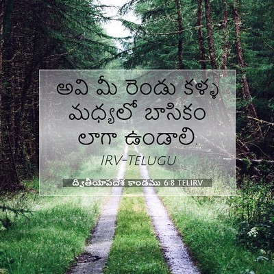 Picture 07 - ద్వితీయోపదేశ కాండము 6:8 TELIRV - అవి మీ రెండు కళ్ళ - Bible Verse Picture
